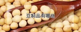 豆制品有哪些,第1图