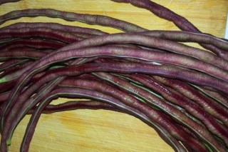 紫豆角种植时间和方法,第2图