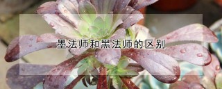 墨法师和黑法师的区别,第1图