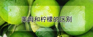 莱姆和柠檬的区别,第1图