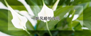 一帆风顺怕冷吗,第1图