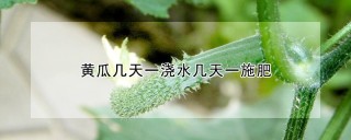 黄瓜几天一浇水几天一施肥,第1图