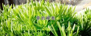 草的种类,第1图