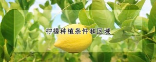 柠檬种植条件和区域,第1图