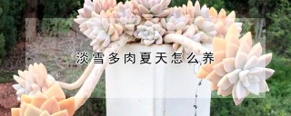 淡雪多肉夏天怎么养,第1图