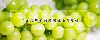 阳光玫瑰葡萄是热性还是凉性,第1图