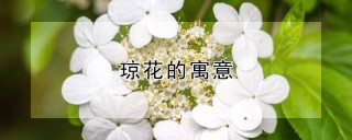 琼花的寓意,第1图