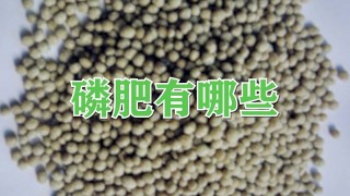 磷肥有哪些,第1图