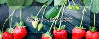 淘米水多久浇一次草莓,第1图