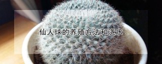 仙人球的养殖方法和浇水,第1图