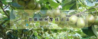 弥猴桃树繁植方法,第1图