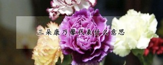 三朵康乃馨代表什么意思,第1图