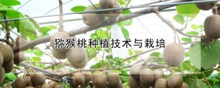 猕猴桃种植技术与栽培,第1图