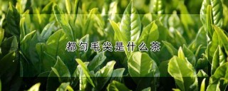 都匀毛尖是什么茶,第1图