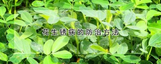 花生锈病的防治方法,第1图