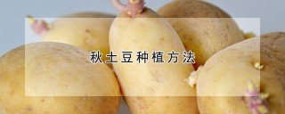 秋土豆种植方法,第1图