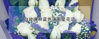 白玫瑰和蓝色满天星花语,第1图