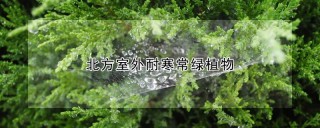 北方室外耐寒常绿植物,第1图