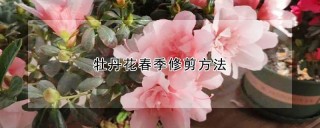 牡丹花春季修剪方法,第1图