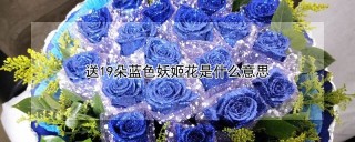 送19朵蓝色妖姬花是什么意思,第1图