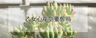 乙女心花剑要剪吗,第1图