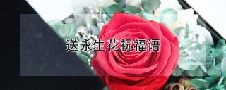 送永生花祝福语,第1图