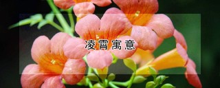 凌霄寓意,第1图