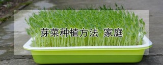 芽菜种植方法 家庭,第1图