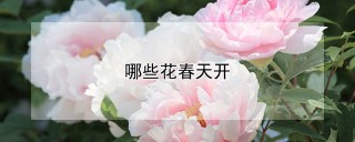 哪些花春天开,第1图