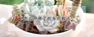 怎么把蔫了的多肉救活,第1图