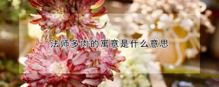 法师多肉的寓意是什么意思,第1图