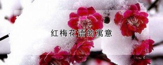 红梅花语,第1图