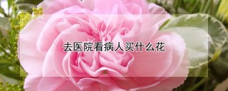 去医院看病人买什么花,第1图