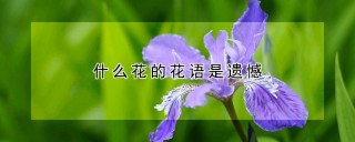 什么花的花语是遗憾,第1图