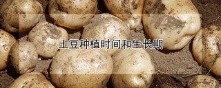 土豆种植时间和生长期,第1图