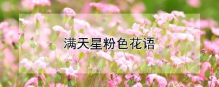 满天星粉色花语,第1图