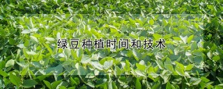 绿豆种植时间和技术,第1图