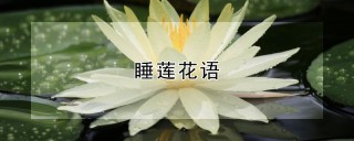 睡莲花语,第1图