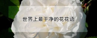 世界上最干净的花花语,第1图