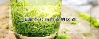 明前茶和雨前茶的区别,第1图