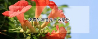 凌霄的寓意是什么意思,第1图