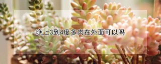 晚上3到4度多肉在外面可以吗,第1图