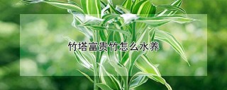 竹塔富贵竹怎么水养,第1图