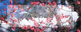 梅花的品质,第1图