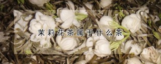 茉莉花茶属于什么茶,第1图