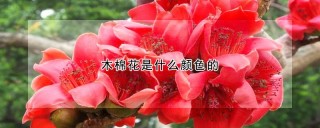 木棉花是什么颜色的,第1图