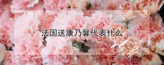 法国送康乃馨代表什么,第1图