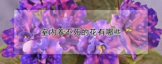 室内养不死的花有哪些,第1图