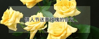 情人节送黄玫瑰的含义,第1图