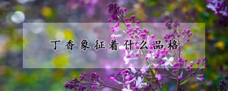 丁香象征着什么品格,第1图